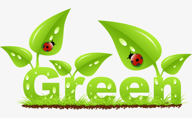 biobased epoxy resin